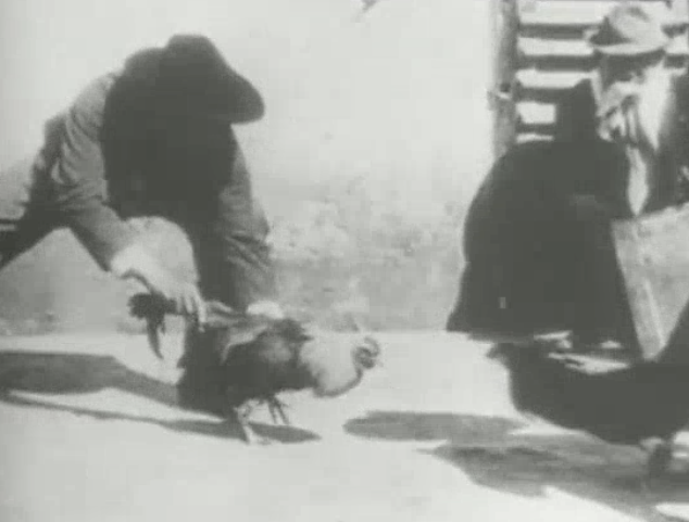 photo still from video